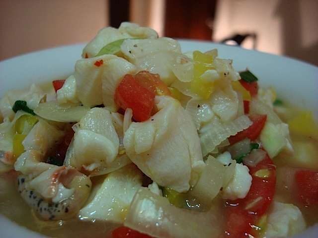 conchsalad5