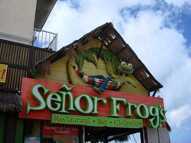 senorfrogs1