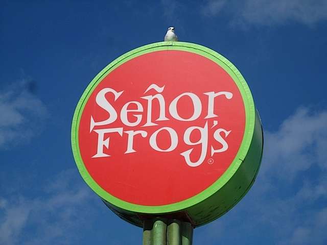 senorfrogs3