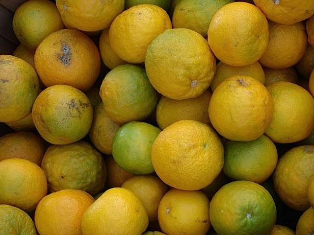 souroranges