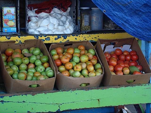 tomatoboxes