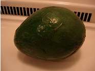avocados