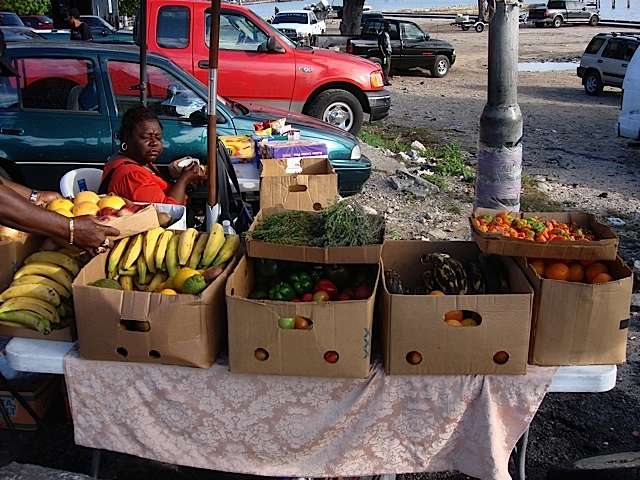 montagubeachfruit