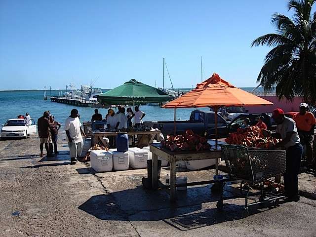 montagubeachmarket