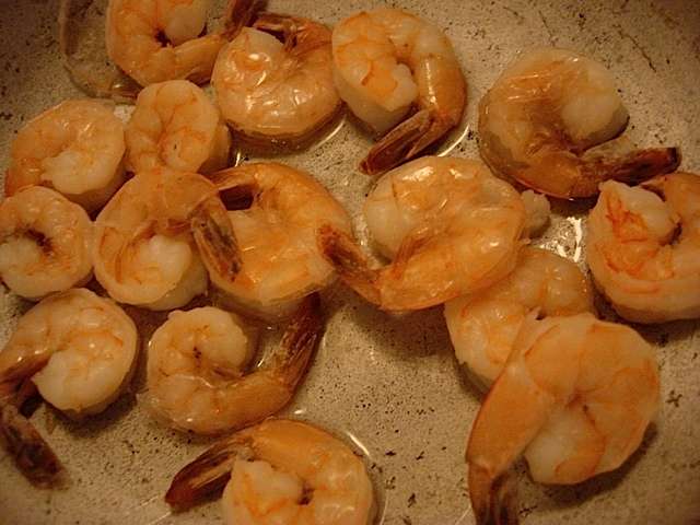shrimp