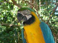 zoo